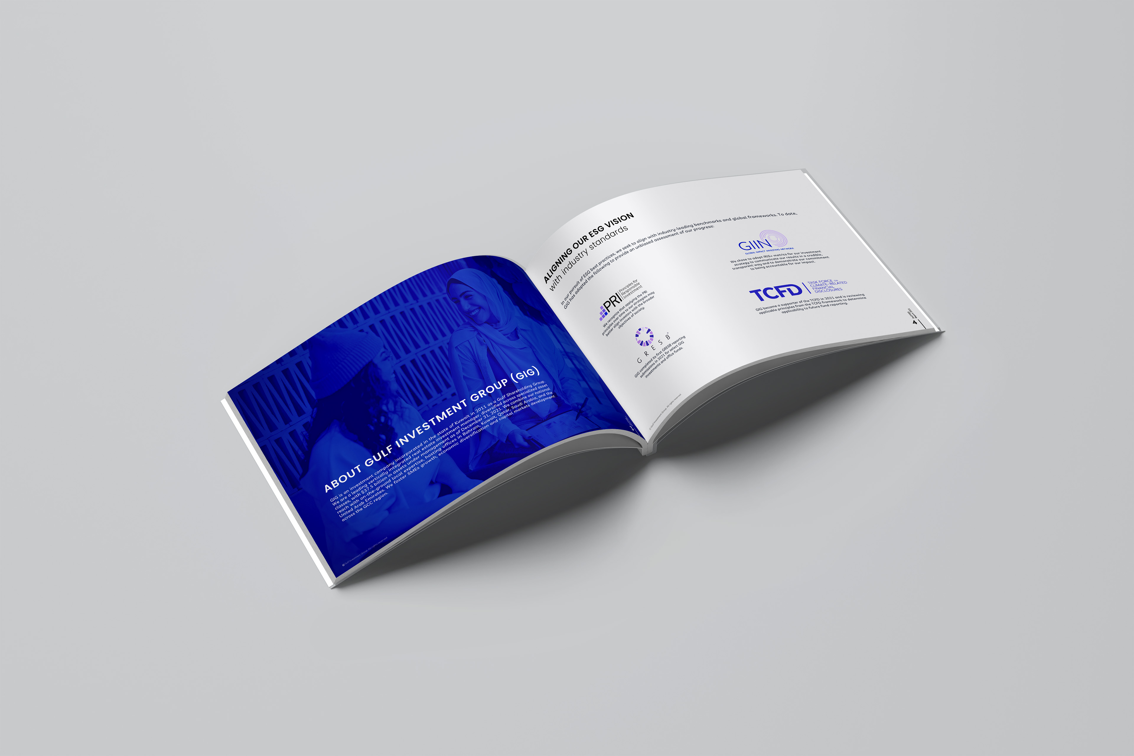 A 3D mockup of a corporate brochure featuring clean data visualization and charts focused on ESG Standards.